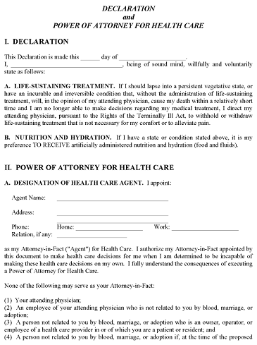 Delaware Blank Printable Living Will Form PDF