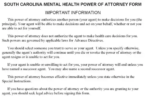 South Carolina Mental Health Power of Attorney Word