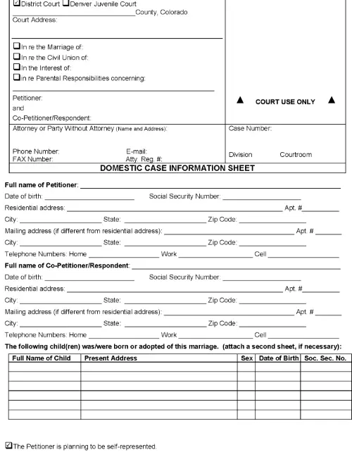 Colorado Domestic Case Information Sheet