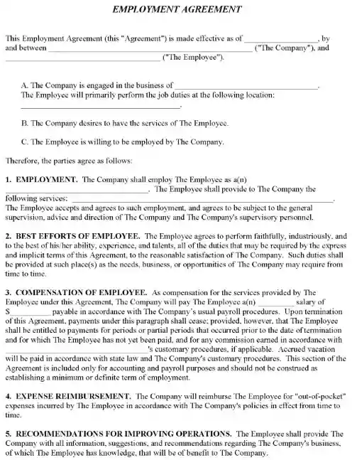 Employment Agreement Standard Form PDF