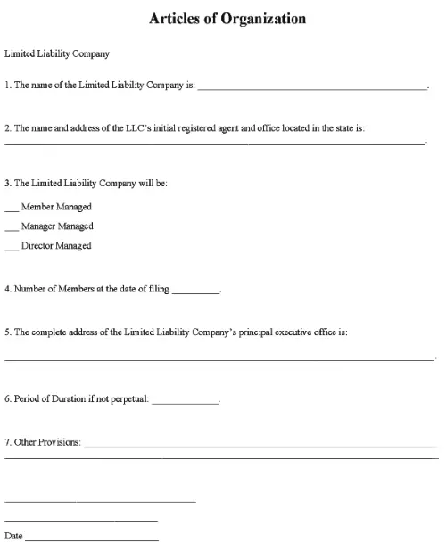 LLC Articles of Organization Form Word