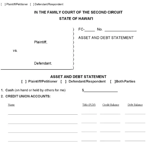 Maui Molokai or Lanai Asset and Debt Statement PDF