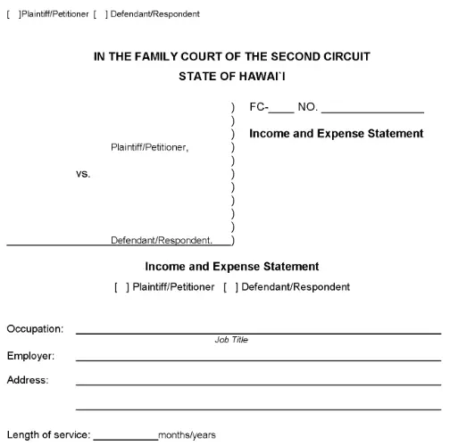 Maui Molokai or Lanai Income and Expense Statement PDF