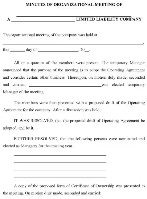 Minutes of LLC Organizational Meeting Word