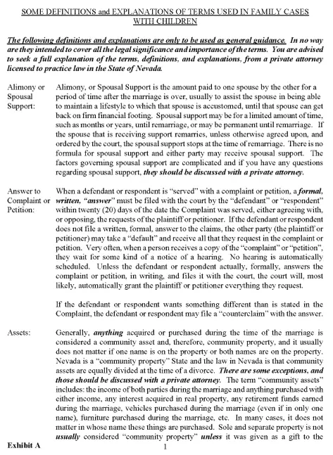 Nevada Family Case Explanations and Definitions PDF