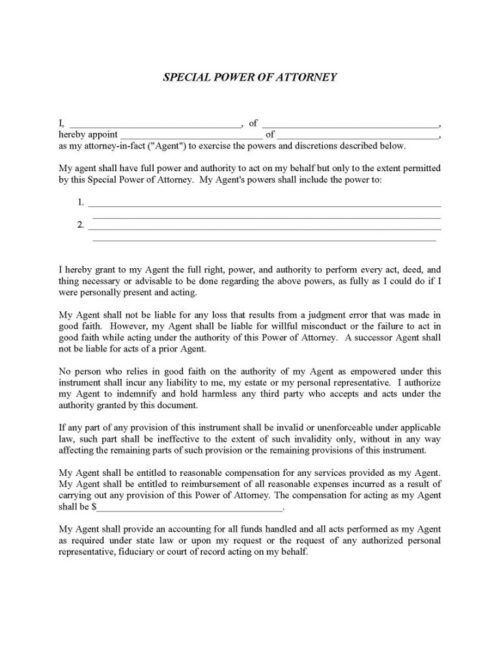Special Power of Attorney Form Word